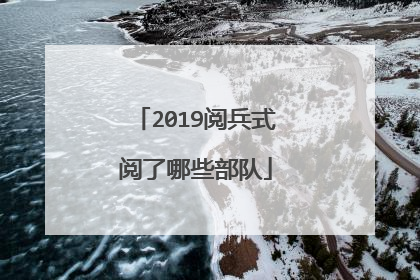 2019阅兵式阅了哪些部队