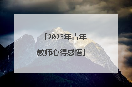 2023年青年教师心得感悟