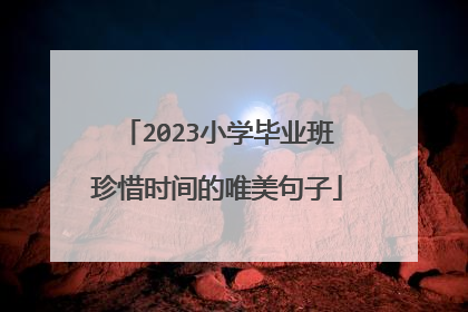 2023小学毕业班珍惜时间的唯美句子