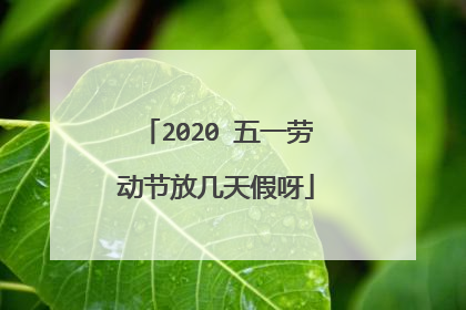 2020 五一劳动节放几天假呀