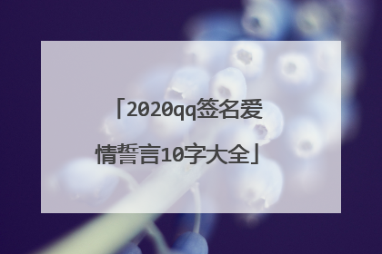 2020qq签名爱情誓言10字大全