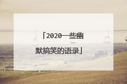 2020一些幽默搞笑的语录