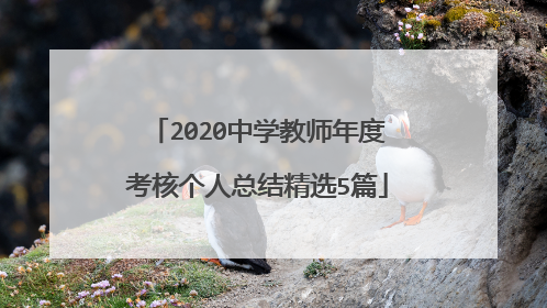 2020中学教师年度考核个人总结精选5篇
