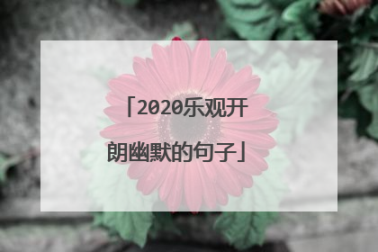 2020乐观开朗幽默的句子
