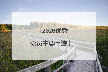 2020优秀党员主要事迹