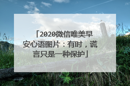 2020微信唯美早安心语图片：有时，谎言只是一种保护