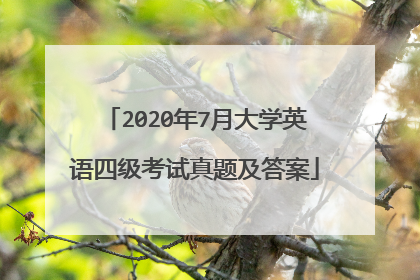 2020年7月大学英语四级考试真题及答案
