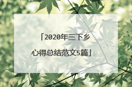 2020年三下乡心得总结范文5篇