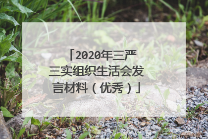 2020年三严三实组织生活会发言材料(优秀)
