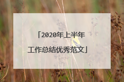 2020年上半年工作总结优秀范文