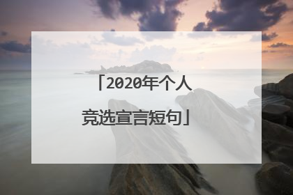 2020年个人竞选宣言短句