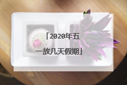 2020年五一放几天假期