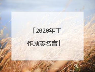 2020年工作励志名言