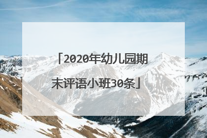 2020年幼儿园期末评语小班30条