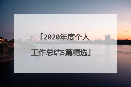 2020年度个人工作总结5篇精选