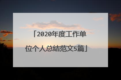 2020年度工作单位个人总结范文5篇