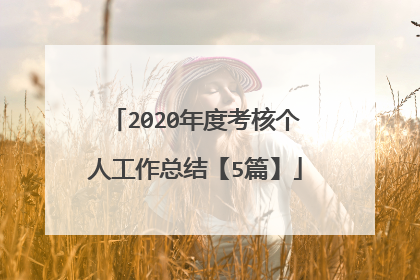 2020年度考核个人工作总结【5篇】