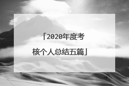 2020年度考核个人总结五篇