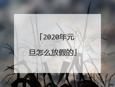 2020年元旦怎么放假的