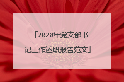 2020年党支部书记工作述职报告范文