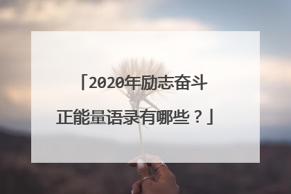 2020年励志奋斗正能量语录有哪些？