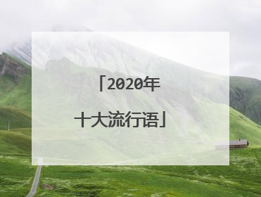 2020年十大流行语