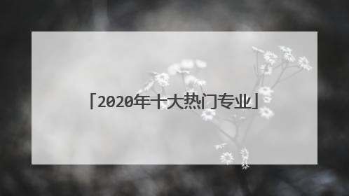 2020年十大热门专业