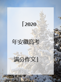2020年安徽高考满分作文