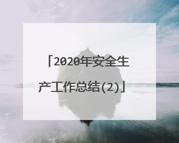 2020年安全生产工作总结(2)