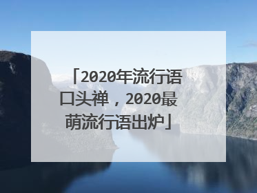 2020年流行语口头禅,2020最萌流行语出炉