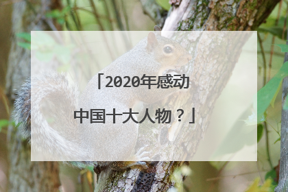 2020年感动中国十大人物？