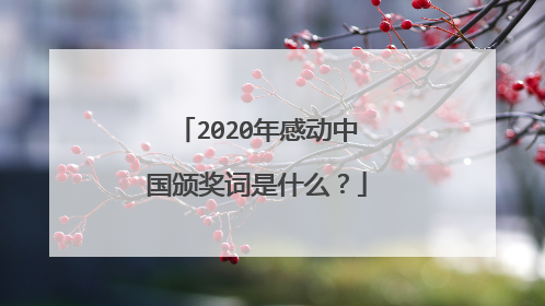 2020年感动中国颁奖词是什么?