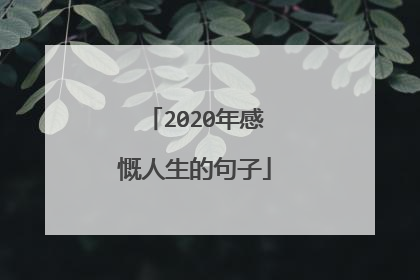 2020年感慨人生的句子