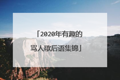 2020年有趣的骂人歇后语集锦