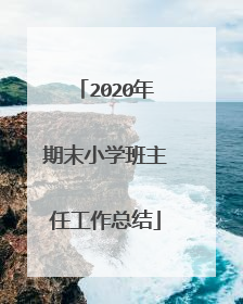 2020年期末小学班主任工作总结