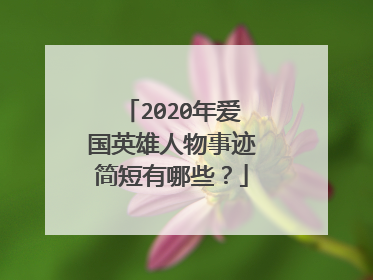 2020年爱国英雄人物事迹简短有哪些?