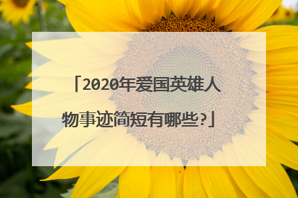2020年爱国英雄人物事迹简短有哪些?