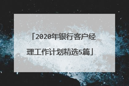 2020年银行客户经理工作计划精选5篇
