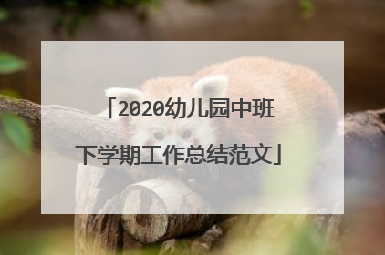 2020幼儿园中班下学期工作总结范文