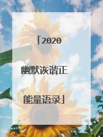 2020幽默诙谐正能量语录
