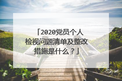 2020党员个人检视问题清单及整改措施是什么？