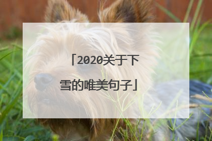 2020关于下雪的唯美句子