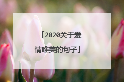 2020关于爱情唯美的句子