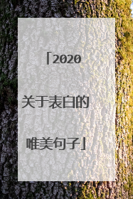 2020关于表白的唯美句子