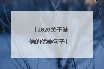2020关于诚信的优美句子