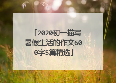 2020初一描写暑假生活的作文600字5篇精选