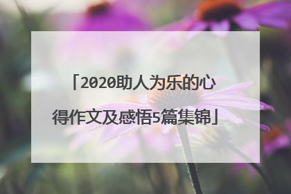 2020助人为乐的心得作文及感悟5篇集锦