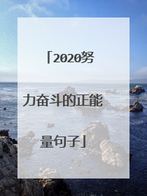 2020努力奋斗的正能量句子