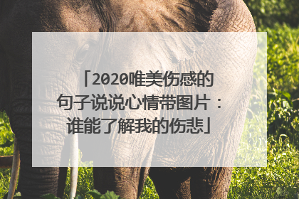 2020唯美伤感的句子说说心情带图片:谁能了解我的伤悲