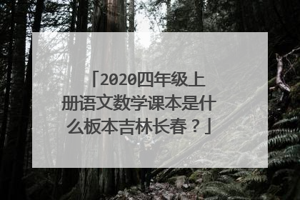 2020四年级上册语文数学课本是什么板本吉林长春?